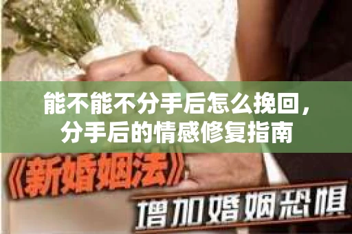 能不能不分手后怎么挽回，分手后的情感修复指南