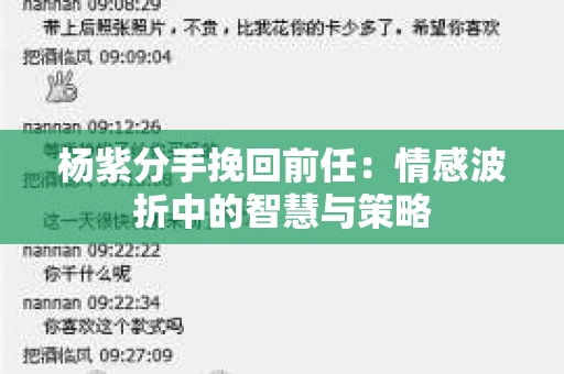 杨紫分手挽回前任：情感波折中的智慧与策略