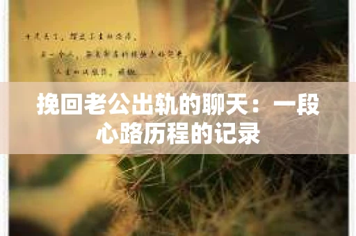挽回老公出轨的聊天：一段心路历程的记录