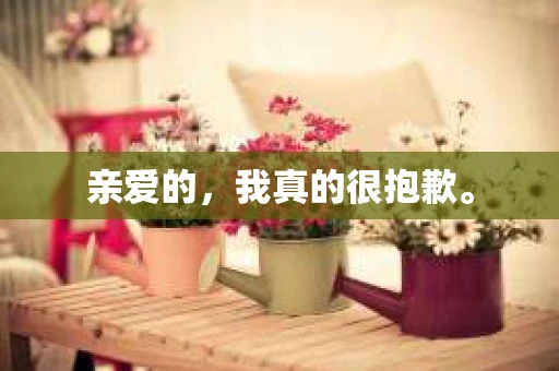 亲爱的，我真的很抱歉。