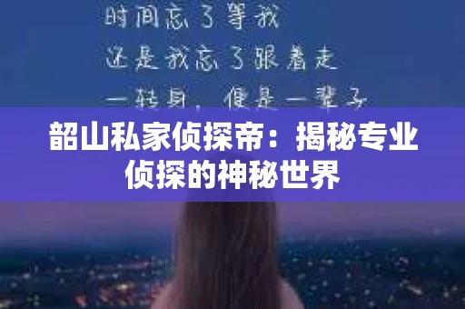 韶山私家侦探帝：揭秘专业侦探的神秘世界