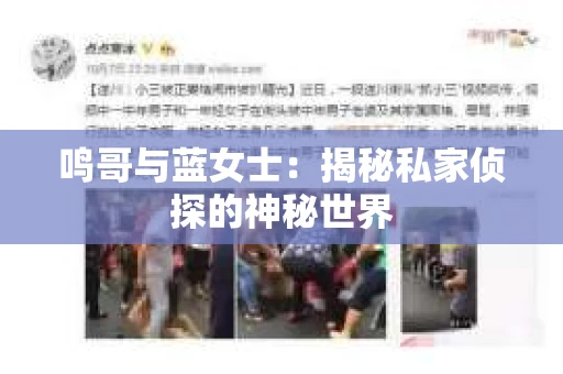 鸣哥与蓝女士：揭秘私家侦探的神秘世界