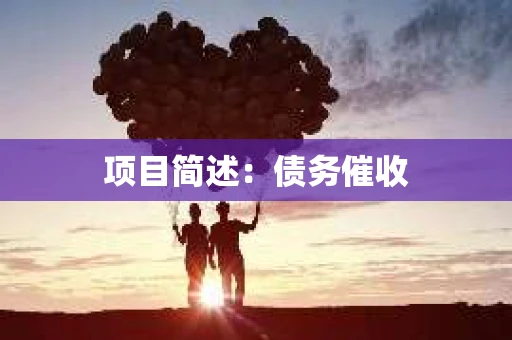 项目简述：债务催收