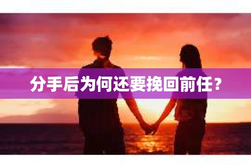 分手后为何还要挽回前任？