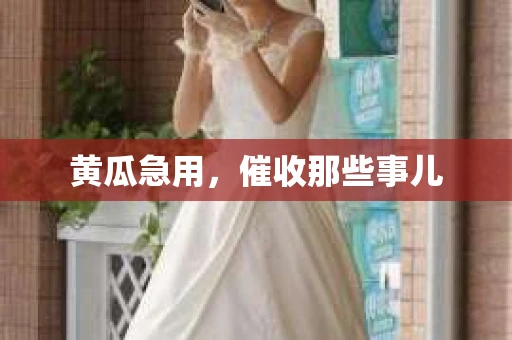黄瓜急用，催收那些事儿