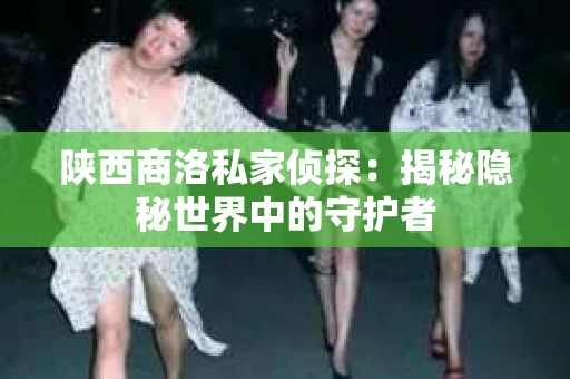 陕西商洛私家侦探：揭秘隐秘世界中的守护者