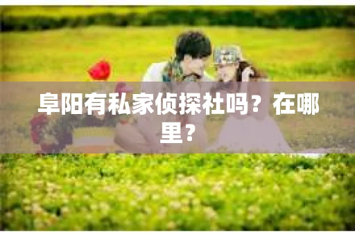 阜阳有私家侦探社吗？在哪里？