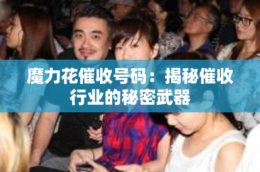 魔力花催收号码：揭秘催收行业的秘密武器
