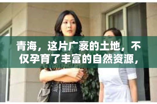 青海，这片广袤的土地，不仅孕育了丰富的自然资源，也孕育了多样的经济形态。在金融领域，催收公司作为维护金融秩序的重要力量，在青海也有着不少的身影。那么，青海有哪些催收公司呢？今天，我们就来聊聊这个话题。