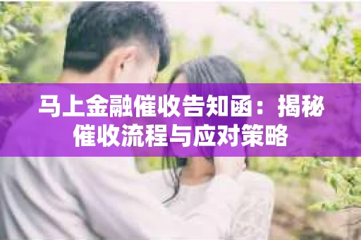 马上金融催收告知函：揭秘催收流程与应对策略