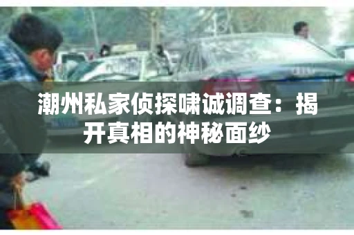 潮州私家侦探啸诚调查：揭开真相的神秘面纱