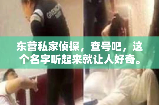 东营私家侦探，查号吧，这个名字听起来就让人好奇。今天，我就来和大家聊聊这个话题，揭开东营私家侦探的神秘面纱。