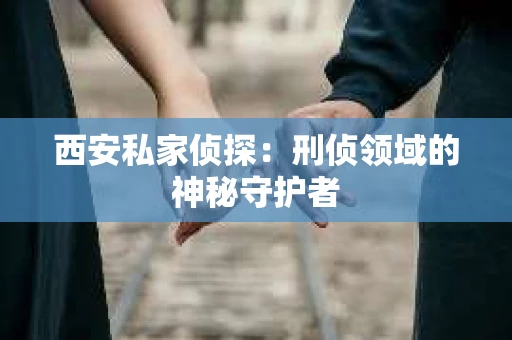 西安私家侦探：刑侦领域的神秘守护者