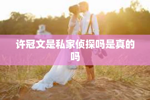 许冠文是私家侦探吗是真的吗