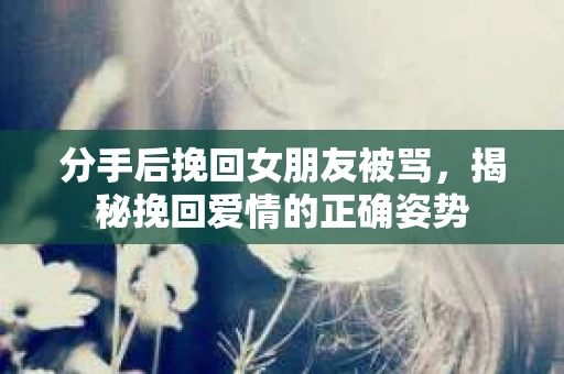 分手后挽回女朋友被骂，揭秘挽回爱情的正确姿势