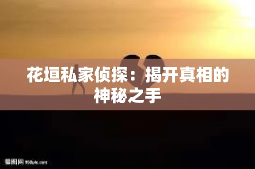 花垣私家侦探：揭开真相的神秘之手
