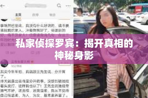 私家侦探罗宾：揭开真相的神秘身影